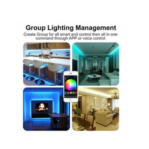 10M Smart Wifi 300 RGB LED Strip Lights 12V Waterproof Alexa Echos Google Home