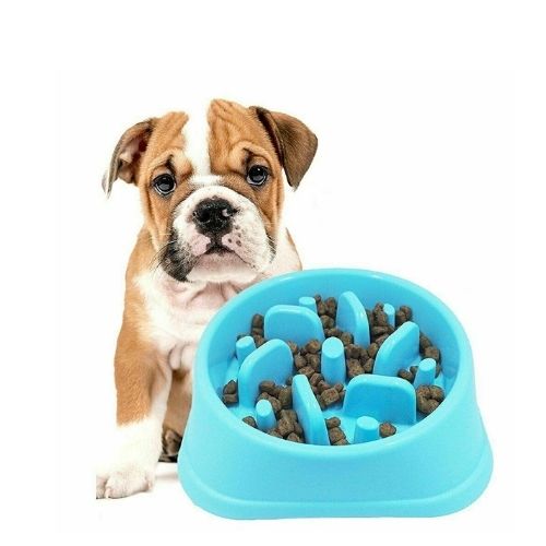 New Pet Dog Slow Food Healthy Anti Slip Gulp Feeder Interactive Dish Bowl Large