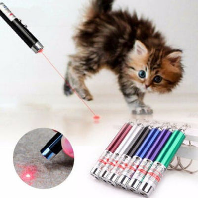 2 In1 Mini Red Laser Pointer Pen For Pet LED Light Child Keychain Pet Cat Toy