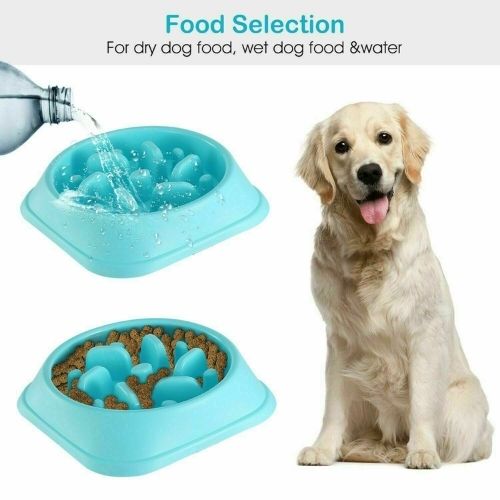 Pet Dog Cat Slow Food Healthy Anti Slip Gulp Feed Interactive Travel Dish Bowl