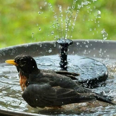 New Outdoor Solar Powered Floating Bird Bath Water Fountain Pump Garden US