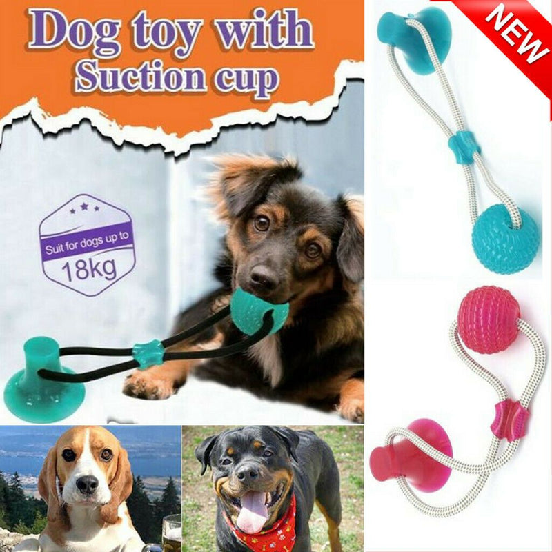 Pet Molar Bite Toy Multifunction Floor Suction Cup Dog Balls Interactive Puppy A