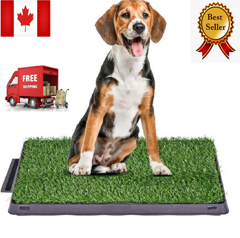 Grass Bathroom for Dog Puppy Portable Potty Pad tray Trainer Indoor Alternative