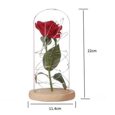 Beauty And The Beast Enchanted Rose LED Glass Cover Night Light Lamp Flower Gift