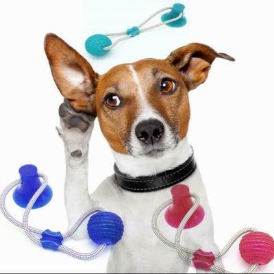 Pet Molar Bite Toy Multifunction Floor Suction Cup Dog Balls Interactive Puppy A