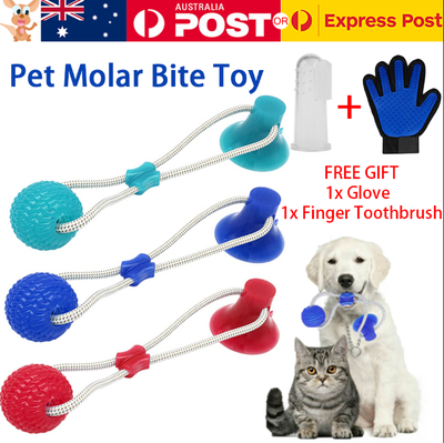 Pet Molar Bite Toy Multifunction Floor Suction Cup Dog Balls Interactive Puppy A