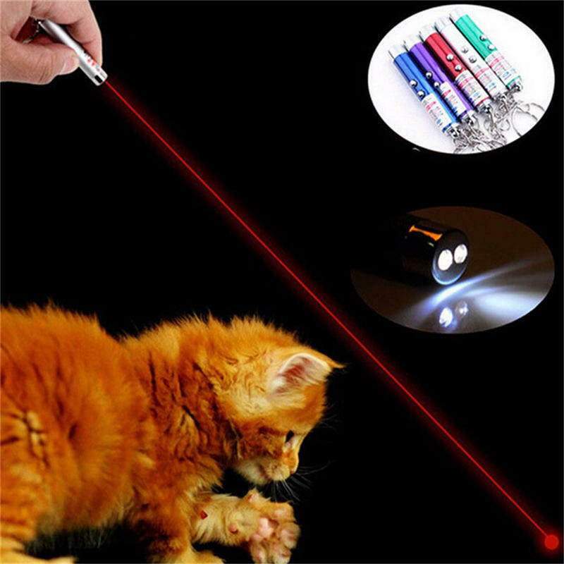 New 2 In1 Mini Red Laser Pointer Pen White LED Light Child Pet Cat Toy Keychain