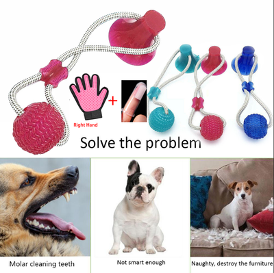 Pet Molar Bite Toy Multifunction Floor Suction Cup Dog Balls Interactive Puppy A