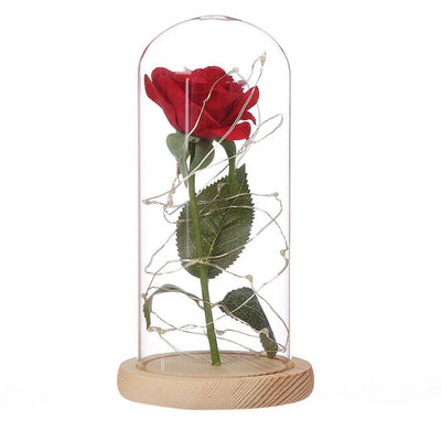 Beauty And The Beast Enchanted Rose LED Glass Cover Night Light Lamp Flower Gift