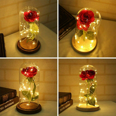 Beauty And The Beast Enchanted Rose LED Glass Cover Night Light Lamp Flower Gift