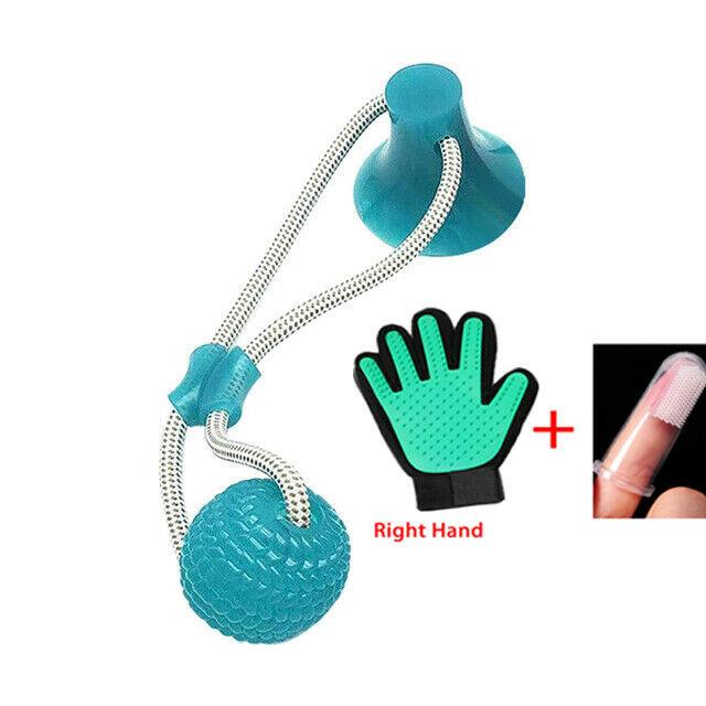 Pet Molar Bite Toy Multifunction Floor Suction Cup Dog Balls Interactive Puppy A