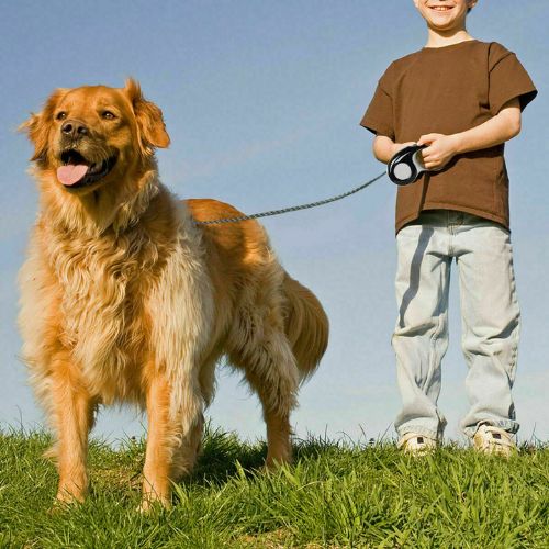 Retractable Dog Lead Tape Walk Extendable Leash 3M Pet Training 5M Heritage Dogs