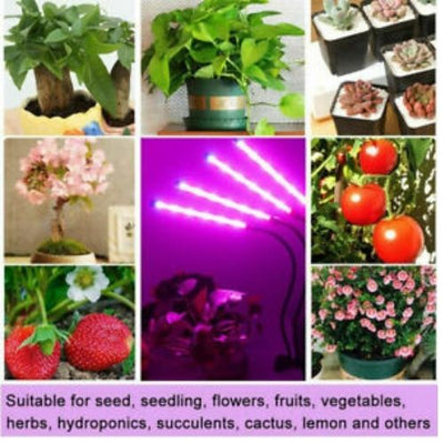 4 Head 80 LED Grow Light Growing Plant Veg Flower Indoor Clip 40W Plant Lamp CA