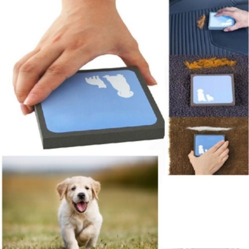 Dog Cat  Pet Hair remover Cleaner Carpet Sofa Foam Sponge Fur Remover Reusable