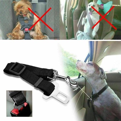 Car seat belt/seatbelt restraint for your pet dog cat when travelling in vehicle