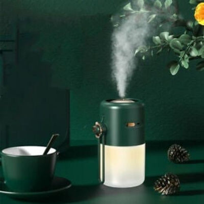 300ML Mini Humidifier Rechargeable with Night Light for Car (Green Only)