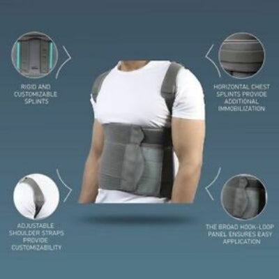 Back Shoulder Waist Posture Support Belt Along Lower Back Pain Relief Therapy