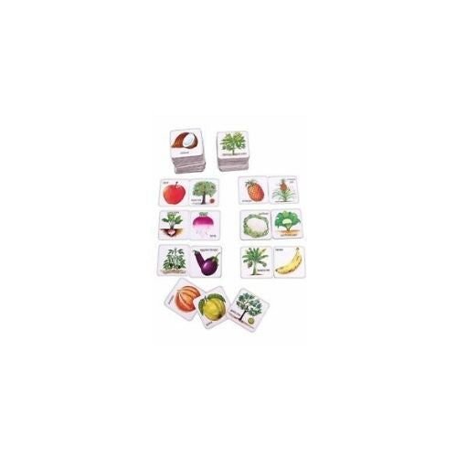 Vegetables And Their Plants Card Game For Creative Educational , Multicolor CA