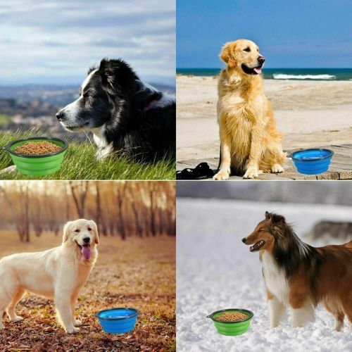 Collapsible Dog Bowl, Portable Travel Food Grade Silicone Pet Food Water Bowl