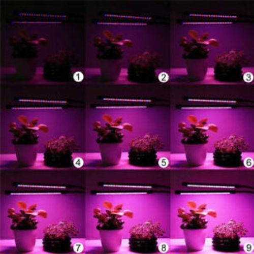 4 Head 80 LED Grow Light Growing Plant Veg Flower Indoor Clip 40W Plant Lamp CA