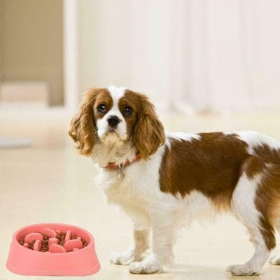 Pet Dog Cat Slow Food Healthy Anti Slip Gulp Feed Interactive Travel Dish Bowl