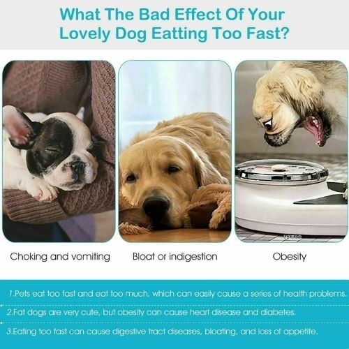 Pet Dog Cat Slow Food Healthy Anti Slip Gulp Feed Interactive Travel Dish Bowl