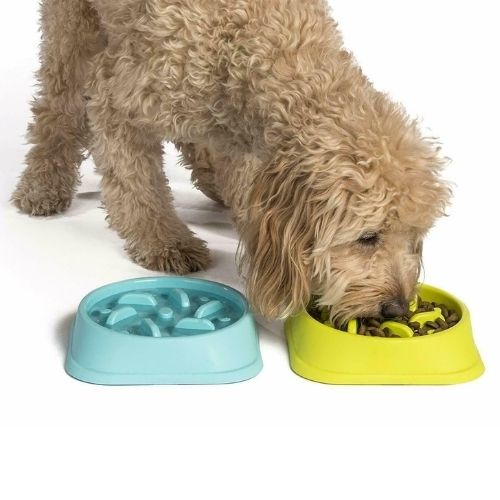 New Pet Dog Slow Food Healthy Anti Slip Gulp Feeder Interactive Dish Bowl Large