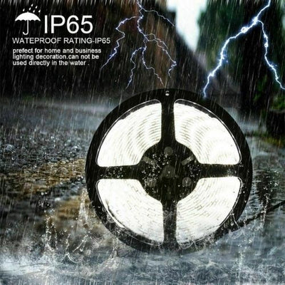 Waterproof IP65 Cool White 600 LED 3528 SMD 16Ft Led Strip Light 12V Dimmable