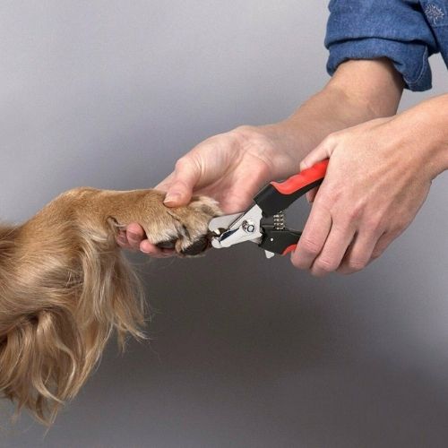 New Pet Nail Clipper Cutter Scissors Dog Cat Rabbit Toe Claw Paw Grooming Shears