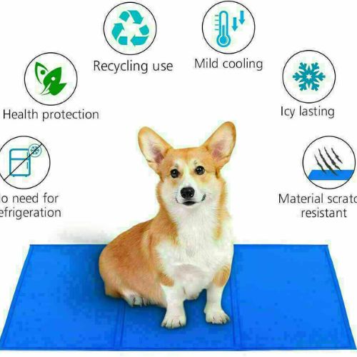 Pet Dog Cooling Mat Pad Teddy Mattress Cat Cushion Autumn Keep Cool Comfort Bed