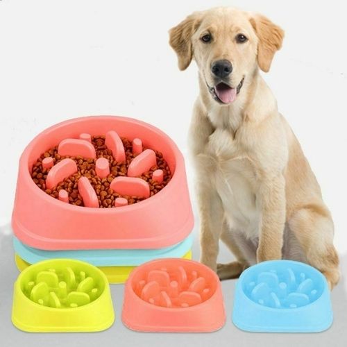 New Pet Dog Slow Food Healthy Anti Slip Gulp Feeder Interactive Dish Bowl Large