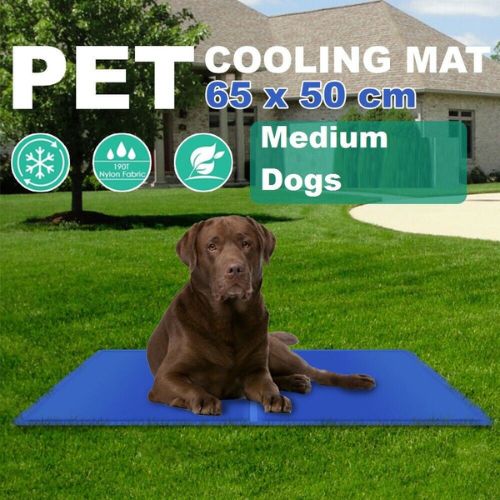 Dogs Cats Self Cooling Gel Mat Cool Mat Pet Pad Mattress Indoor Bed Summer