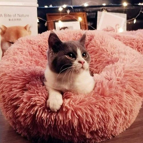 New Soft Comfy Round Faux Fur Pet Cat Dog Bed Cat Calming Cuddler Bed Indoor CA