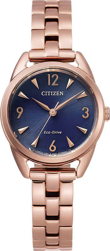 Citizen Eco-Drive Drive Collection LTR