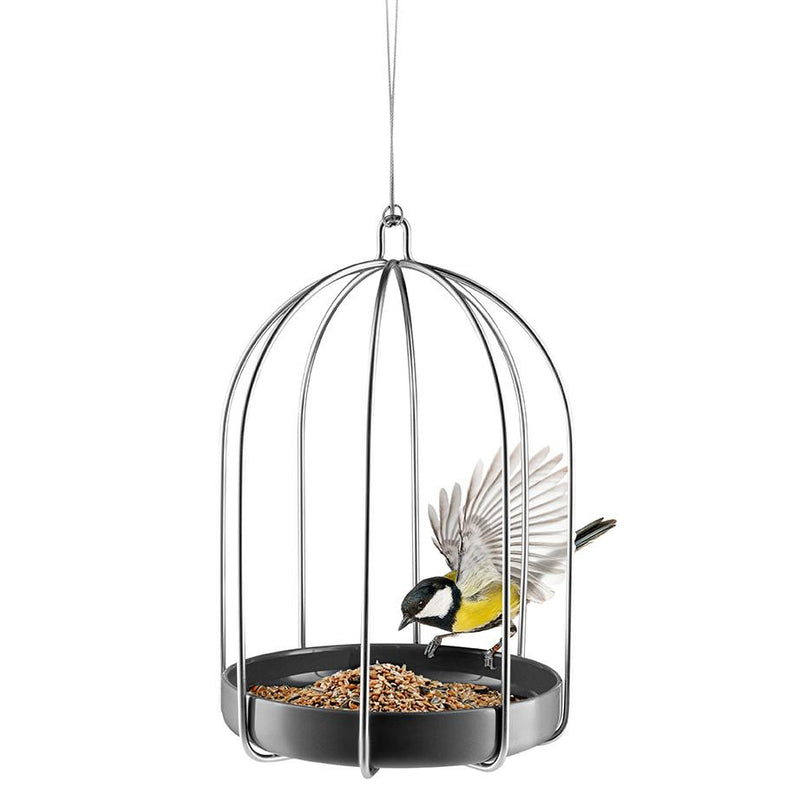 Bird Feeding Cage