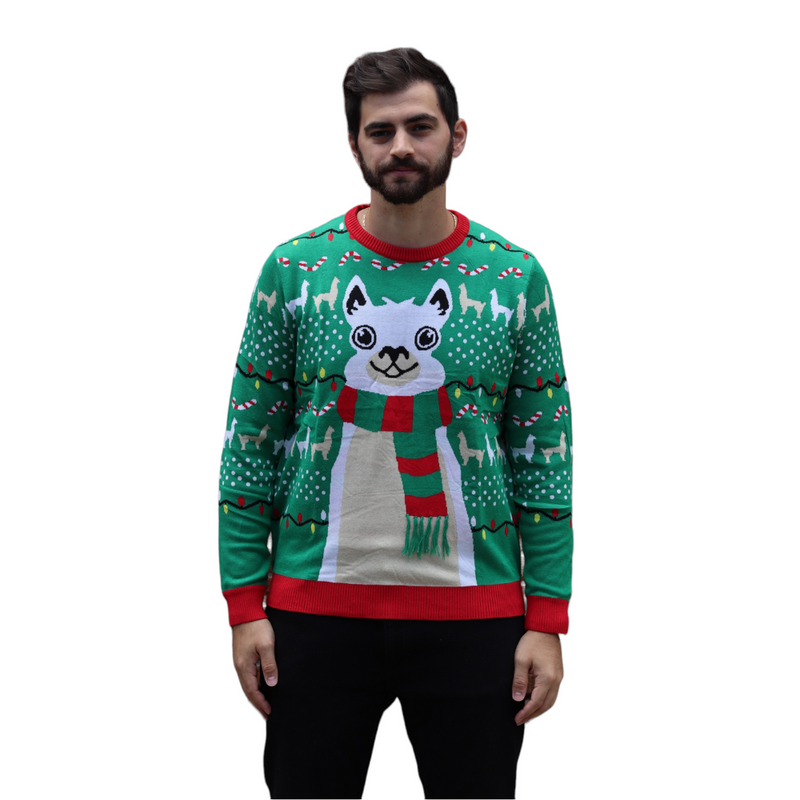 Winter cat Ugly Christmas Sweater
