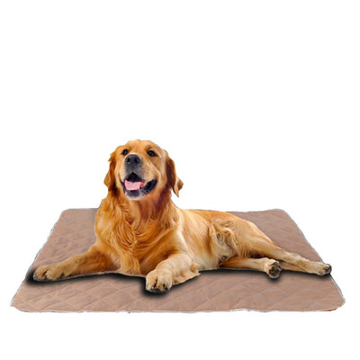 PawZ 2 Pcs 120x180 cm Reusable Waterproof Pet Puppy Toilet Training Pads