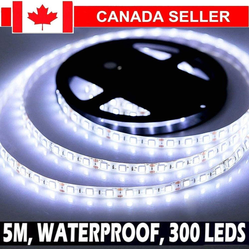 Super bright 5M SMD 5050 SMD white Waterproof 300 LED Flexible Tape Strip Light