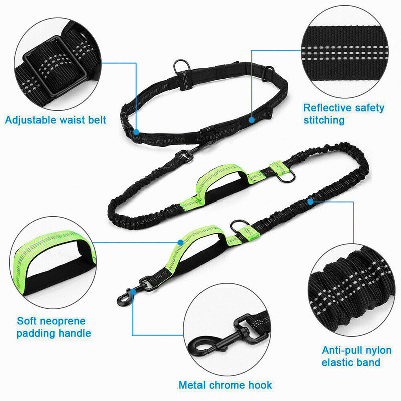 Hands Free Dog Leash Adjustable Waist Belt with Dual Bungees for Running&Jogging