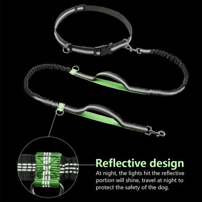 Hands Free Dog Leash Adjustable Waist Belt with Dual Bungees for Running&Jogging