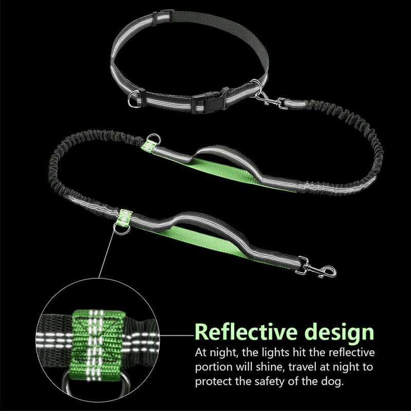 Hands Free Dog Leash Adjustable Waist Belt with Dual Bungees for Running&Jogging