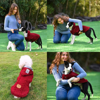 Super Warm Jacket Pet Cold Weather Clothes w/Hooded for Cats / Small Medium Dogs