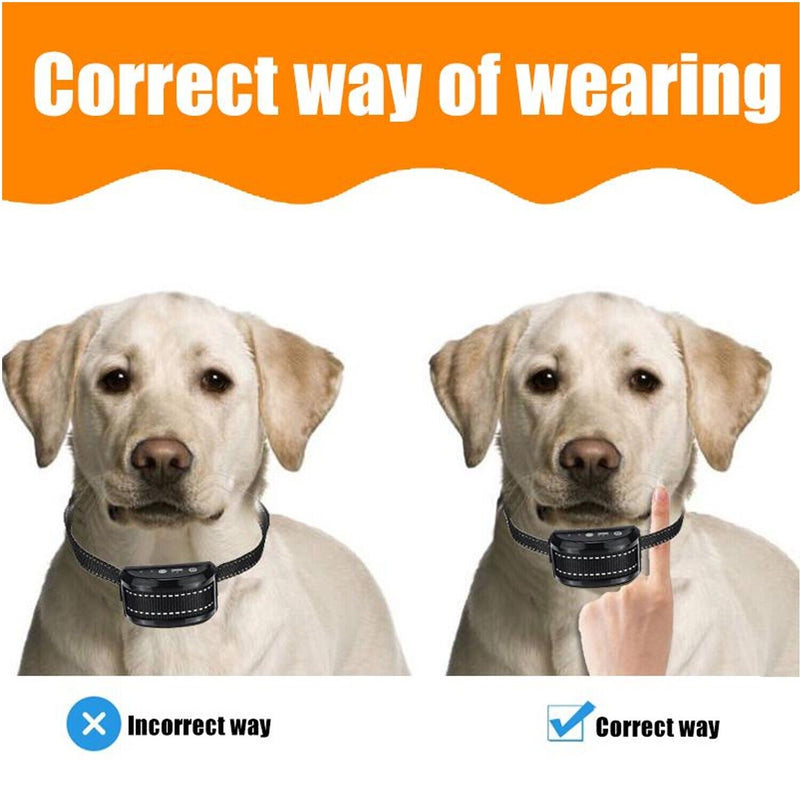 Anti Dog No Shock Bark Collar LED Indicator Rechargeable Anti Barking Waterproof