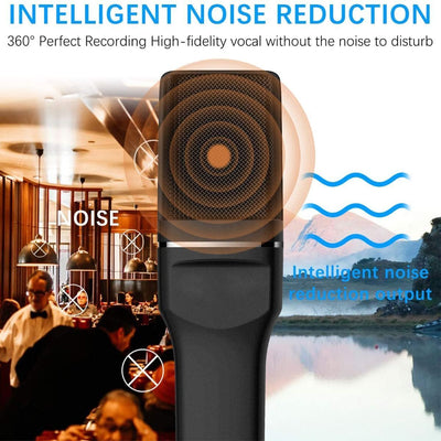 USB Condenser Microphone Voice Recording for PS4, PC, Gaming, Streaming, Laptop