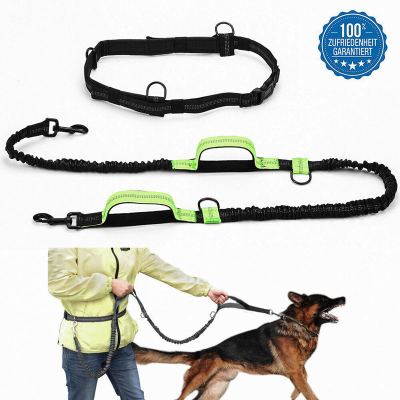 Hands Free Dog Leash Adjustable Waist Belt with Dual Bungees for Running&Jogging