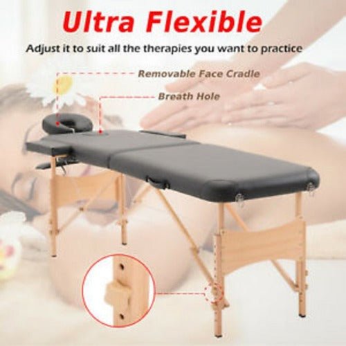 2 Section Massage Table Bed Spa Facial Couch Table Foldable w/ Carry Case