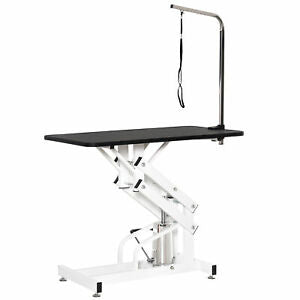 PawHut Professional Z - Lift Hydraulic Pet Dog Grooming Table with Arm Black