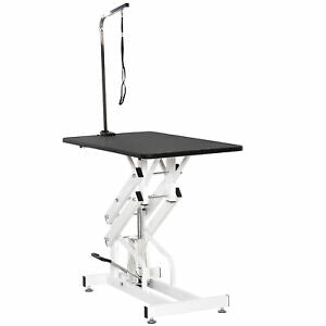 PawHut Professional Z - Lift Hydraulic Pet Dog Grooming Table with Arm Black