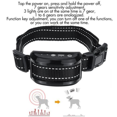 Anti Dog No Shock Bark Collar LED Indicator Rechargeable Anti Barking Waterproof