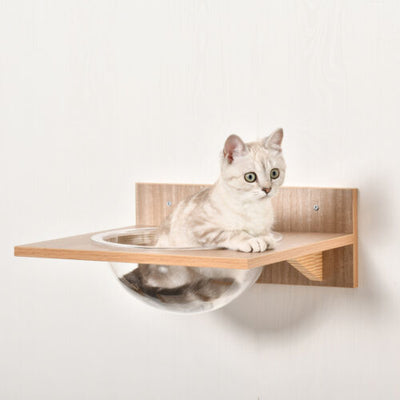 Cat Tree 4pc Pet Mounted Shelf Set, Feed Bowl, Climbing Hammock, Shelves, Beige 196393066652